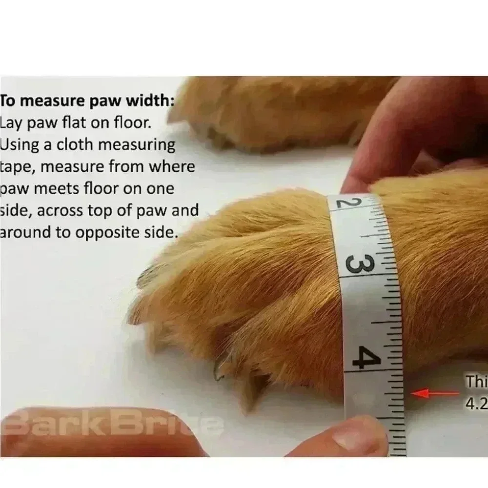 Paw protector for dogs - Picture 6 of 7